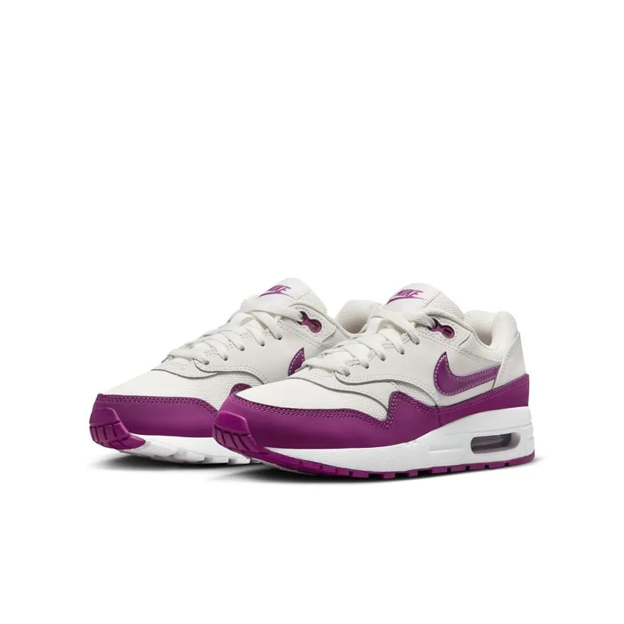 Air Max 1 DZ3307-109